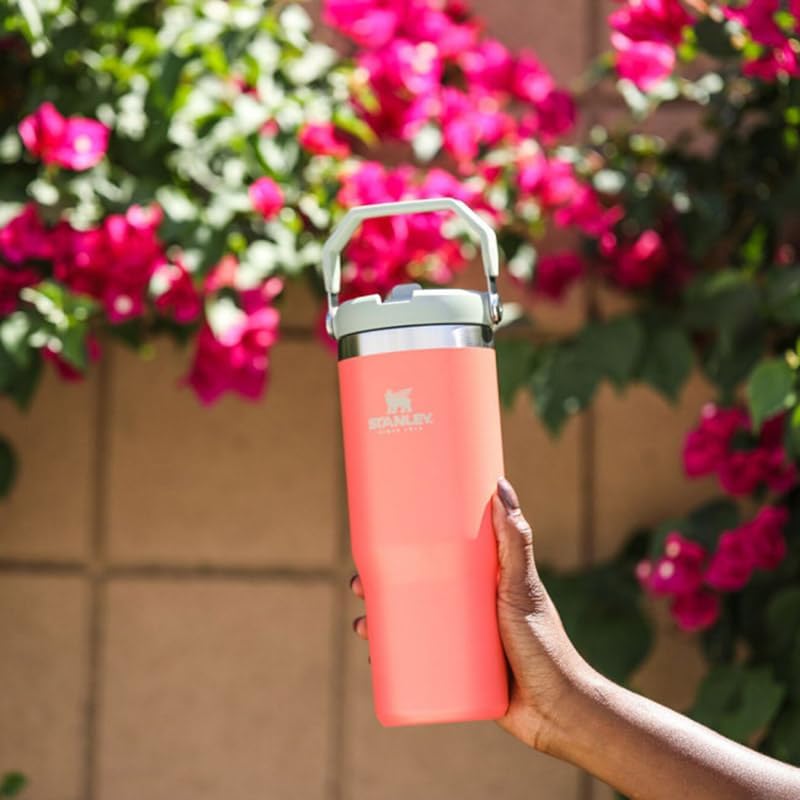 Stanley IceFlow Stainless Steel Tumbler with Straw - Vacuum Insulated Water Bottle for Home, Office or Car - Reusable Cup with Straw Leakproof Flip - Cold for 12 Hours or Iced for 2 Days