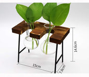 Benting Plants Propagation Stations with Wooden Stand, Glass Planter Tabletop Bulb Vase for Hydroponics Plants Home Office Decor-2 Vase