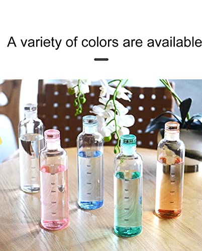 Glass Water bottle (Gray) outdoor sport drink