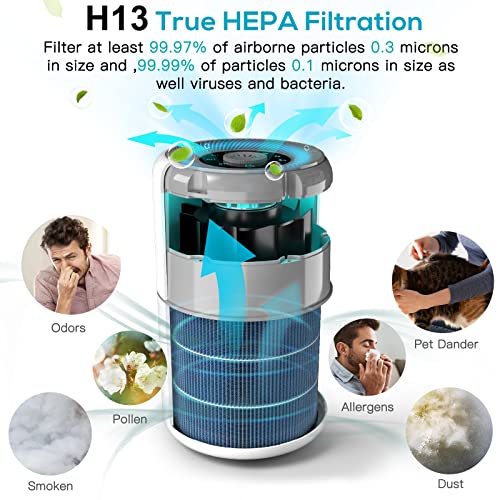 AIRTOK 2 Pack Air Purifier for Home Bedroom with H13 True HEPA Filter for Smoke, Smokers, Dust, Odors, Pollen, Pet Dander | Quiet 99.9% Removal to 0.1 Microns | White Available for California