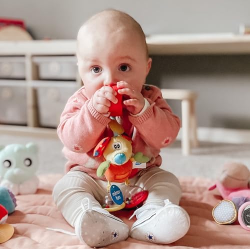 Playgro Toy Box Dingly Dangly Mimsy (BD) – Engaging Stroller Baby Toy for Development and Sensory Play, 0+ Months