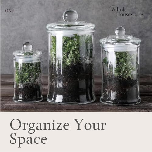Whole Housewares | Set of 3 Bathroom Canisters - Storage Container Jars - Premium Glass Apothecary Jars with Lids - Small Glass Jars for Kitchen or Bathroom Storage - Decorative Crystal Containers