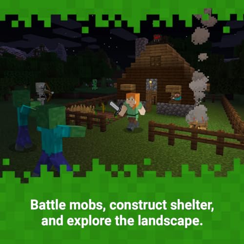 Minecraft /Switch