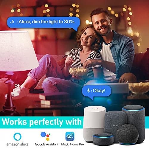 SKY-TOUCH 2Pcs Smart Led Bulb E27 Remote Control Color Adjustable Light Works With Amazon Alexa/Echo Google Home/Assistant, 190V/240V, 10W, 800 Lumens