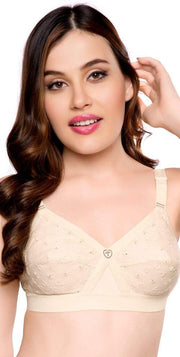 Women KRUTIKA CHIKEN Bra - Skin