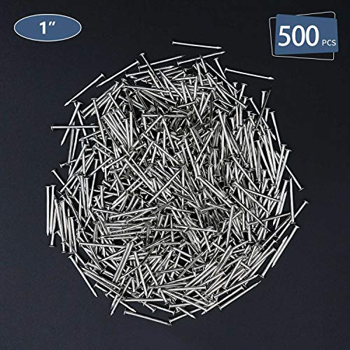 JEGONFRI 500pcs Hardware Nails, 1 Inch Nickel Plated Hanging Nails, Wall Nails for Picture Hanging, Wood Nails, Wire Nails, Small Nails (1 In)