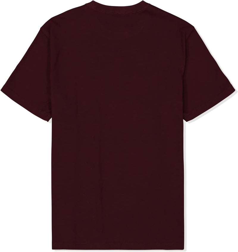 American Eagle Mens AEO SS Basic Crew Neck Tees T-Shirt (pack of 1)