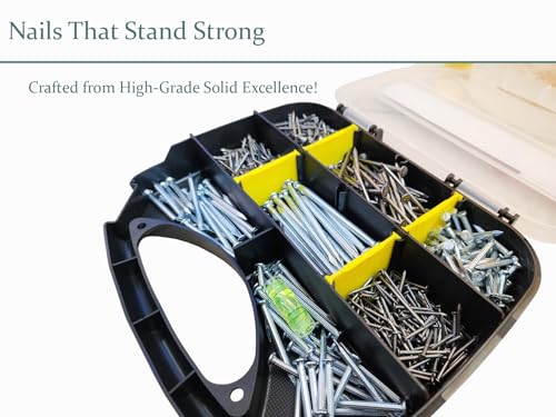 VIXEL 1000+ pcs of Flat Head and Masonry Concrete Nails Assortment Kit with Level Gauge included