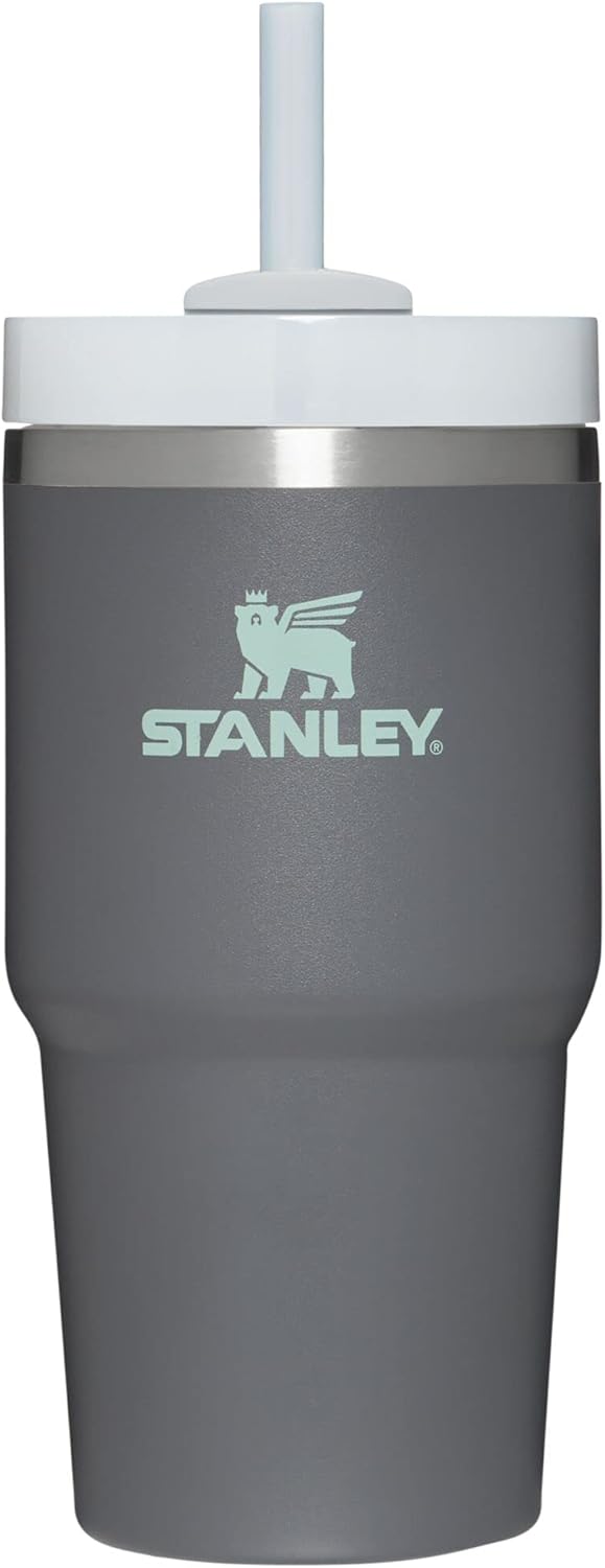 Stanley Quencher H2.0 FlowState Stainless Steel Vacuum Insulated Tumbler with Lid and Straw for Water, Iced Tea or Coffee, Smoothie and More, Charcoal, 20 oz