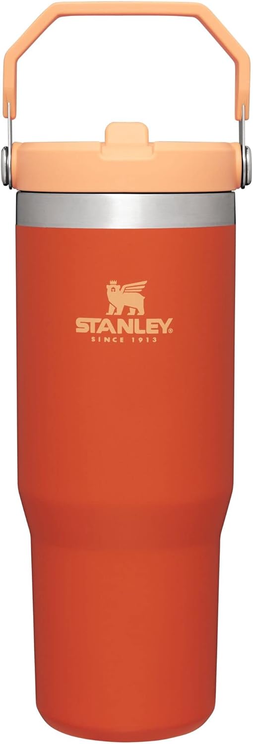 Stanley IceFlow Stainless Steel Tumbler with Straw - Vacuum Insulated Water Bottle for Home, Office or Car - Reusable Cup with Straw Leakproof Flip - Cold for 12 Hours or Iced for 2 Days