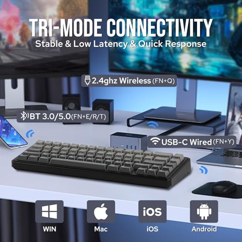 EPOMAKER x Aula F65 65% Wireless Mechanical Keyboard, Hot Swappable Gasket Custom Gaming Keyboard with Five-Layer Padding, RGB Backlit, Bluetooth/2.4GHz/USB-C (Black, Reaper Switch)