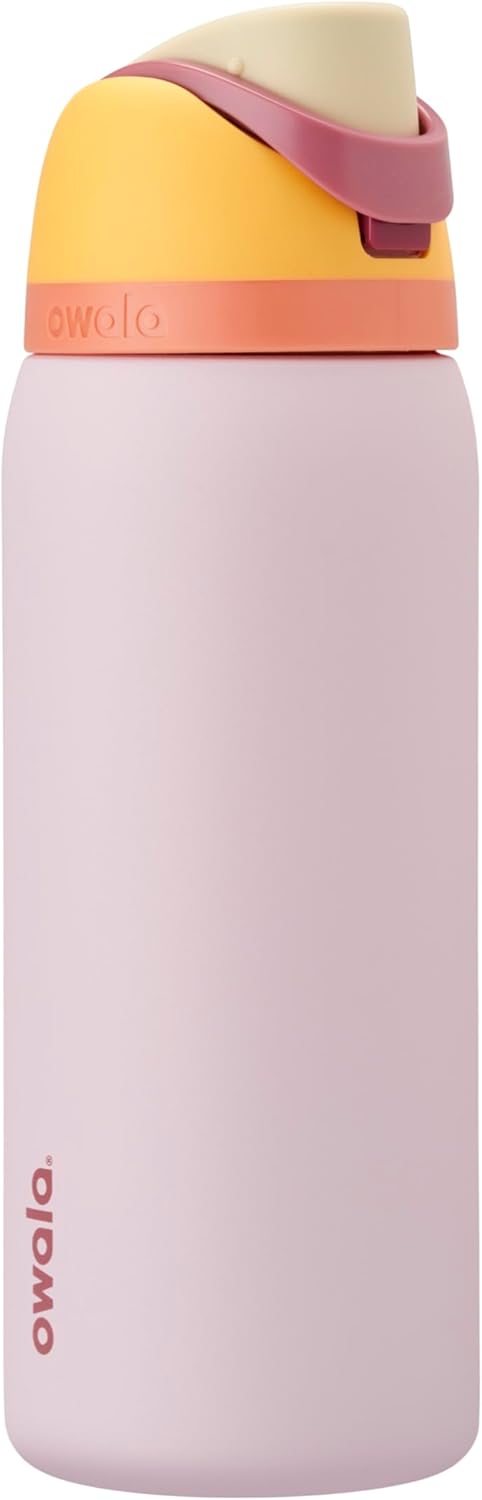 FreeSip Insulated Stainless Steel Water Bottle with Straw for Sports, Travel, and School BPA-Free Sports Water Bottle, 24 oz, Strawberry Field - Candy Store 946 ml