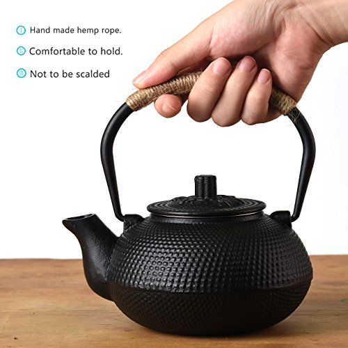 SUSTEAS Japanese Tetsubin Tea Kettle Cast Iron Teapot with Stainless Steel Infuser Black 650ml