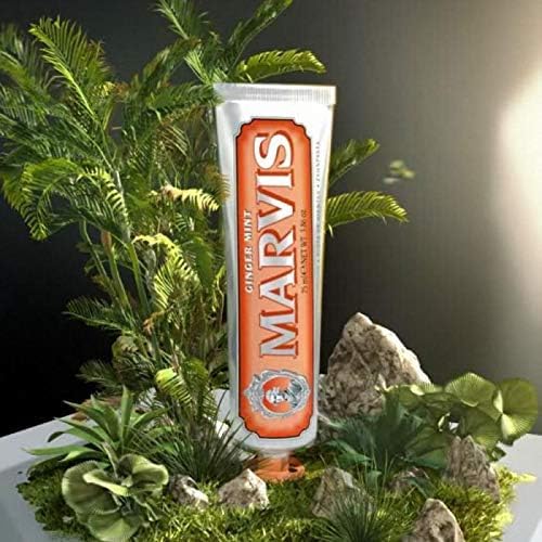 Marvis Ginger Mint Toothpaste 75 ml 3.8 oz Intensive Freshness