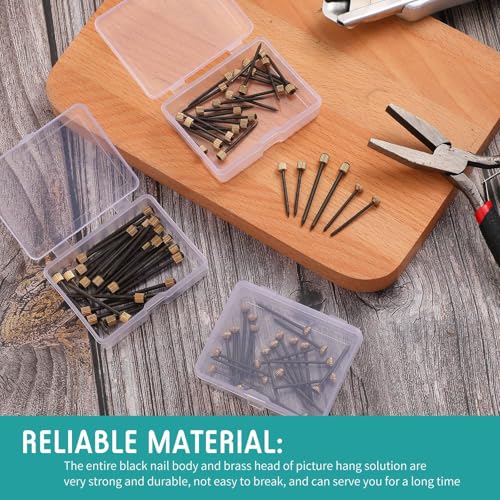 TERRIFI Picture Hanging Nails, Black Steel Nails with Brass Head, 75-Piece Set of Small, Medium, and Large Picture Frame Hangers, Supports 5-30 lbs, Ideal for Home Hardware Use