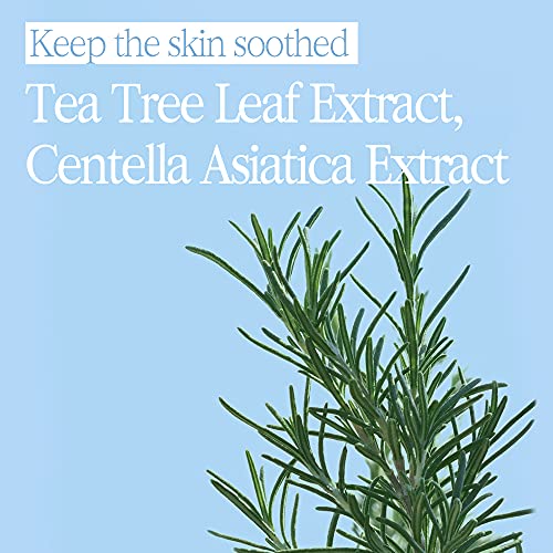 Bouquet Garni Body Shower Powder - Unique Fragrance Decanting Engineering Method gives Long Lasting Rich Fragrance - Tea Tree and Centella Asiatica Cica Extract Perfectly Soothe the Skin - 17.85 Fl Oz