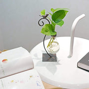 Desktop Glass Planter Hydroponics Vase,Planter Bulb Vase with Holder for Home Decoration,Modern Creative Bird Plant Terrarium Stand, Scindapsus Container