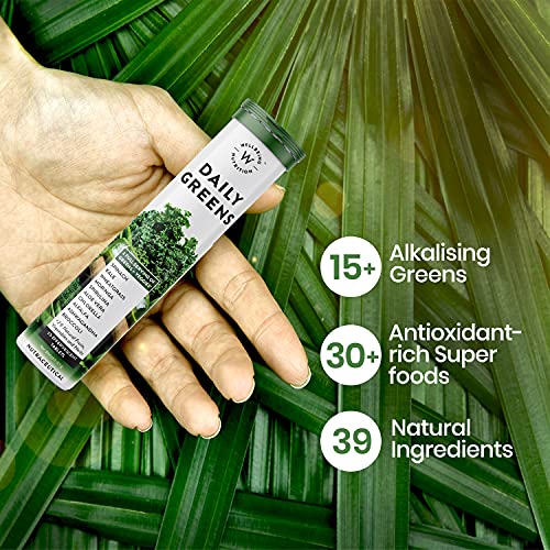 Wellbeing Nutrition Daily Greens for Immunity and Detox with 39+ Organic Certified Plant Superfoods & Antioxidants (Pack of 2)