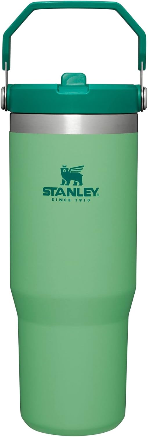 Stanley IceFlow Stainless Steel Tumbler with Straw - Vacuum Insulated Water Bottle for Home, Office or Car - Reusable Cup with Straw Leakproof Flip - Cold for 12 Hours or Iced for 2 Days