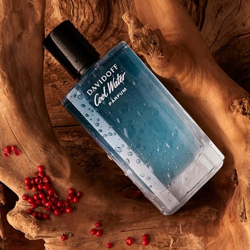 Davidoff Cool Water Perfume for Men Eau De Parfum 100ML