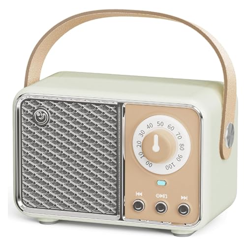 Tazweeq Retro Bluetooth Speaker, Vintage Decor, Portable Small Cute Vintage Speaker, Portable Radio Wireless Decor Speaker, for Office Kitchen Desk Bedroom Outdoor Support TF Card/AUX (Lime)