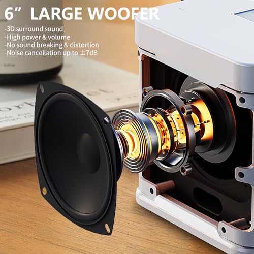 ACHAS Bluetooth Speaker with 2 Wireless Microphone Set, Wireless Karaoke Bluetooth Speaker, Portable Karaoke Machine, Portable Karaoke Mics Speaker Machine for Adults (Silver)