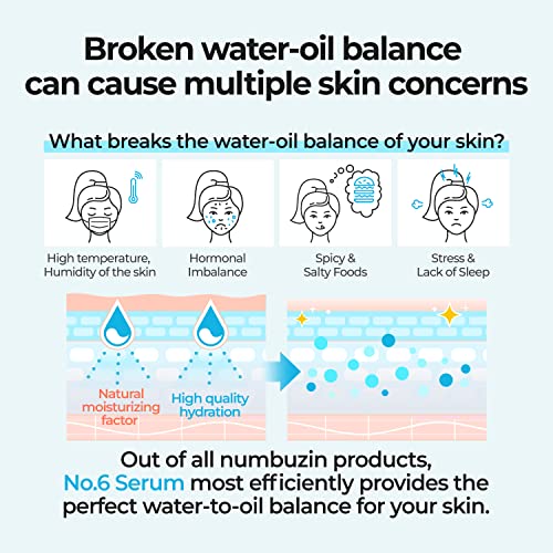 numbuzin No.6 Serum | Iceland Glacier Water Serum for Instant and Long-lasting Hydration with Hyaluronic Acid & Niacinamide | Korean Skin Care for Dry Skin | 50ml