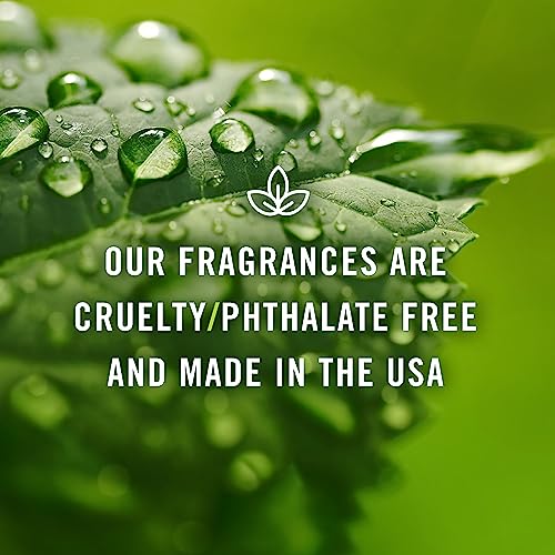 P&J Trading Gentlemen's Set of 6 Premium Grade Fragrance Oils - Leather, Sweet Tobacco, Teakwood, Bay Rum, Cedar, Sandalwood