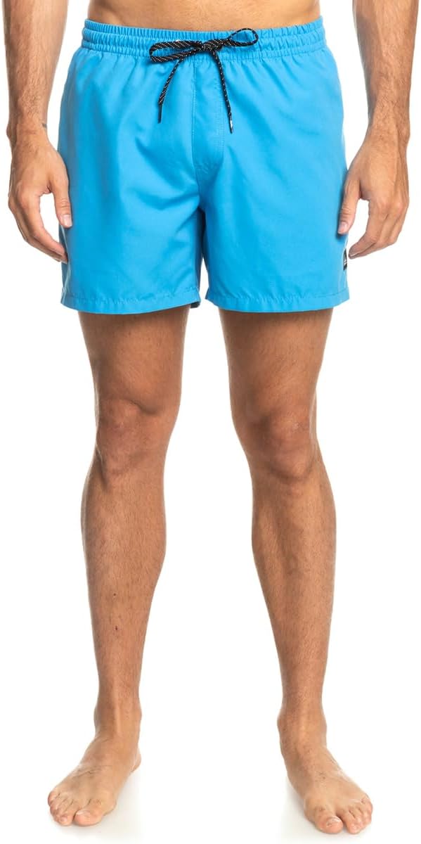 Men's Everyday 15" - Swim short for Men Swim Shorts - Blithe