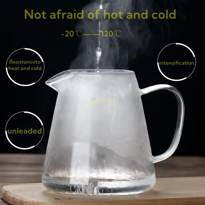 Glass Teapot with Infuser, Stovetop Safe, Blooming and Loose Leaf Tea Maker Set, with Removable Stainless Steel Infuser (750)