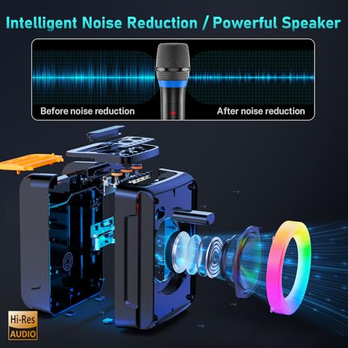 JYXAE-D13 Karaoke Machine for Adults and Kids, Bluetooth Speaker with 2 Microphones, Portable Party Karaoke Speaker with DJ Lights Support USB/AUX/REC, PA System Best Gift for Brithday etc