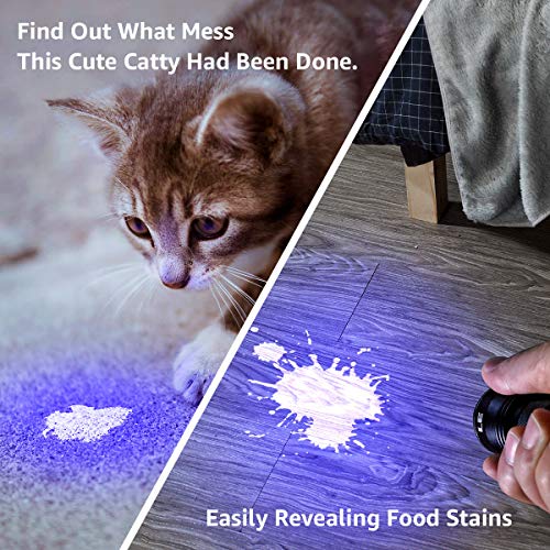 Lepro UV Flashlight, Black Light UV Torch, 9 LED 395nm UV Light, Blacklight Detector for Pet Urine, Stain, Bed Bugs, Scorpion and More, Ultraviolet Flashlight Mini, 3 AAA Batteries Included