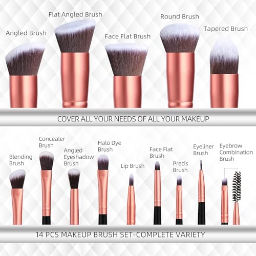 FITTO 12 Pcs Makeup Brushes Set - Naked 3 Professional Makeup Brush Kit with Soft Bristles for Face & Eye Makeup, Includes Foundation, Blush, Eyeliner, Eyeshadow Brushes & Storage Case