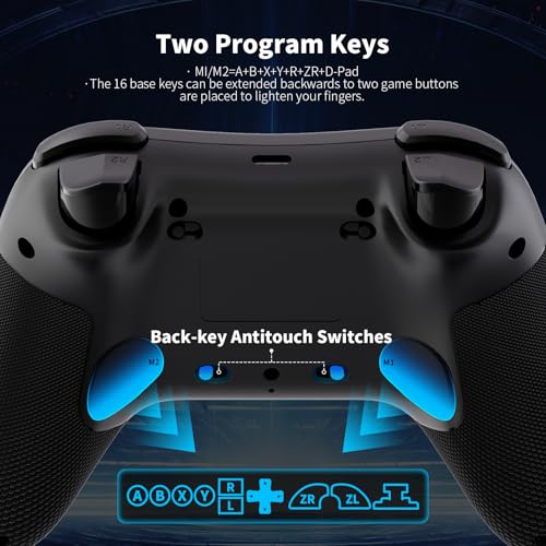 AceGamer Aurora 2.4G Wireless Bluetooth Controller for Windows PC/Switch/Stem/iOS/Androidï¼ŒGamepad PC Joystick with Hall Effect Joystick, Programmable Back Button, Linear Resonant Actuator (black)