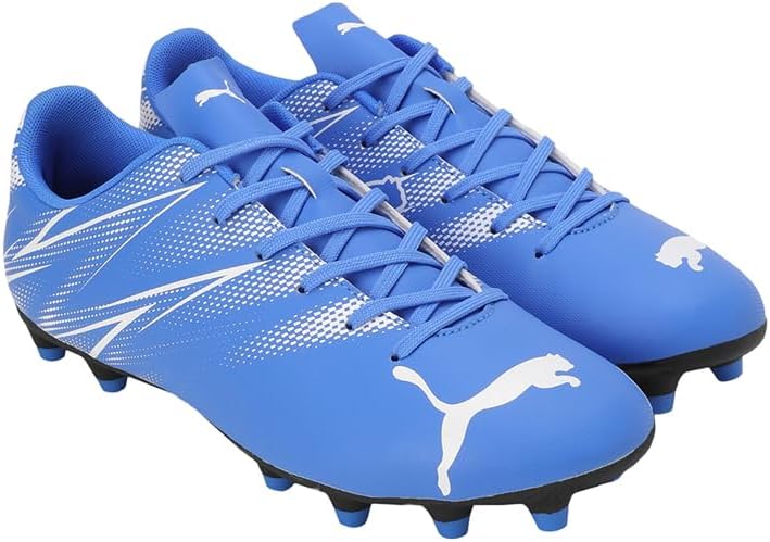 PUMA Standalones mens Low Boot