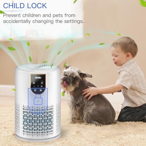 Aircillin Air Purifiers for Home Bedroom, H13 True HEPA Filter Air Cleaner Remove 99.97% 0.3 Micron Particles/Smoke/Pet Dander/Pollen/Odor/for Office, Dorm, Apartment, Kitchen (1-Pack AP0801)