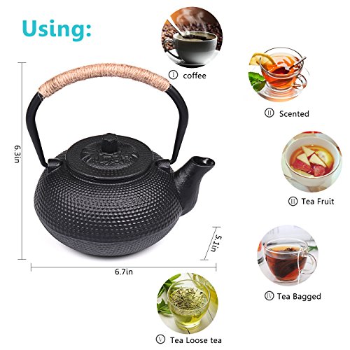 SUSTEAS Japanese Tetsubin Tea Kettle Cast Iron Teapot with Stainless Steel Infuser Black 650ml
