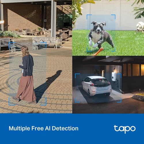TP-Link Tapo Outdoor Pan/Tilt Security Wi-Fi Camera with Smart Motion Tracking, IP66 Weatherproof, Multiple Installation Options and Voice Activated Wired/Wireless Networking - TAPO C520WS
