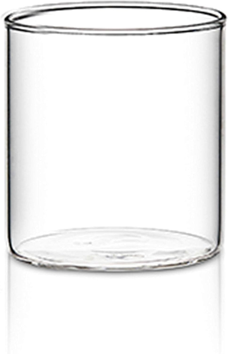 Borosil Vision Transparent Water Glass/Cold Drink Tumbler/ Beer Glass/Juice Glass Set of 6 Pcs (295 ML each) Flame Proof Glasses, Microwave & Dishwasher Safe