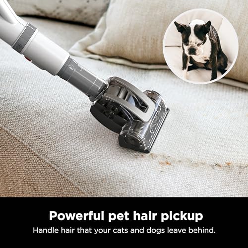 Shark NV356E 31 Navigator Lift-Away Professional Upright Vacuum with Swivel Steering, HEPA Filter, XL Dust Cup, Pet Power, Dusting Brush, and Crevice Tool, Perfect for Pet Hair, White/Silver