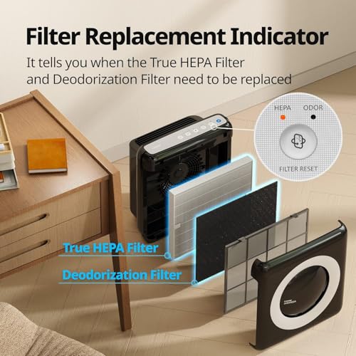 COWAY Air Purifier for Large Home Bedroom 1,748ft², USA Best Air Purifier by NYT, 3-in-1 Filter, GreenHEPA, Air Quality Monitor, Removes 99.99% Pet, Dust, Odours, Allergies, Quiet 24db, Mighty Black
