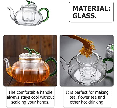 SYOSI Glass Teapot with Infuser Stovetop Tea Kettle for Loose Leaf Tea Kung Fu Glass Teapot Tea Maker Stovetop Safe Glass Teapot with Lids Handle for Home Office, 600ml