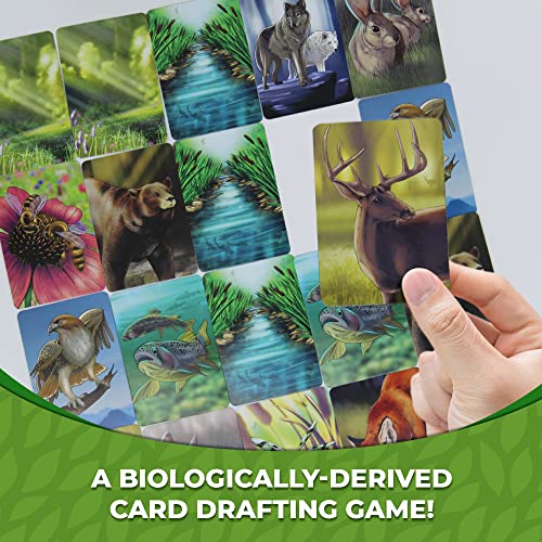 Genius Games Ecosystem - A Family Card Game About Animals, Their Habitats, And Biodiversity - Card Game For Kids 10+ And Adults - Family - Kids Board For Environmental Science Class - Fun Board
