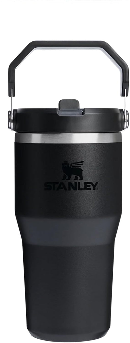 Ice Flow GO 600ml/20oz Flip Straw Wtr Btl Black 2.0