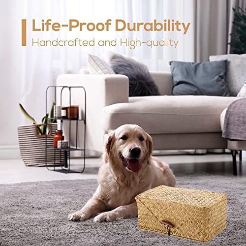 Angju Rectangular Rustic Seagrass Wicker Tissue Box Cover, Natural/Earthy Tone Facial Tissue Holder for Bathroom Vanity Toilet Dresser Table Countertop Office Car