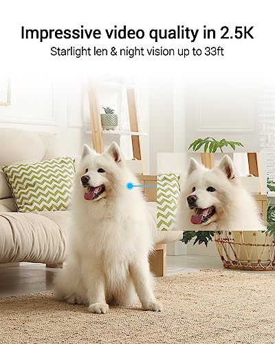 EZVIZ C6 Security WiFi Camera, 2K+ Indoor Home camera with AI Powered Human & Pet & Sound Detection, Night Vision, Auto-Zoom Tracking, Two Way Audio & Calling, 2.4G/5G WiFi, SD Card/Cloud Storage