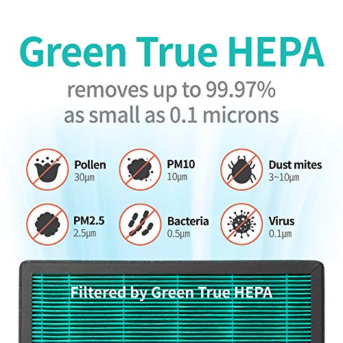 COWAY Air Purifier for Large Home Bedroom 1,035ft², Long-life 3-in-1 Filter, GreenHEPA, Air Quality Monitor, Auto Mode, Removes 99.99% Pet, Dust, Odours, Allergies, Quiet 20db sleep mode, AM-150 White