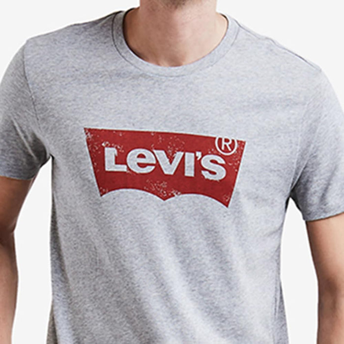 Levi's mens GRAPHIC SET-IN NECK Short Sleeve T-Shirt