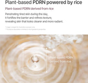 Black Rice Exfoliating Ampoule, Gentle Exfoliating & Intensive Moisture, Black Rice & PDRN Complex, Soy Extract, Smooth and Smooth Skin, Korean Skincare, 100 ml