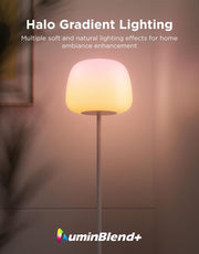 Lantern Floor Lamp, Halo Gradient Lamp with Silicone Soft Lamp Shade RGBICWW Smart Standing Lamp with 100+Scene Modes,1000K-10000K,Music Sync,1400lm,Matter Compatible,for Living Room, Bedroom